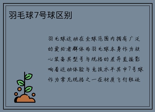 羽毛球7号球区别