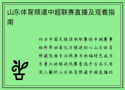 山东体育频道中超联赛直播及观看指南